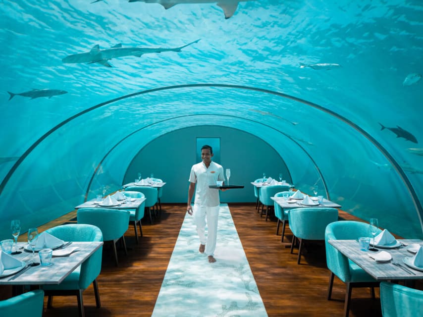 For an incredible superyacht experience, try luxury dining at an underwater restaurant, Maldives marine life on all sides.