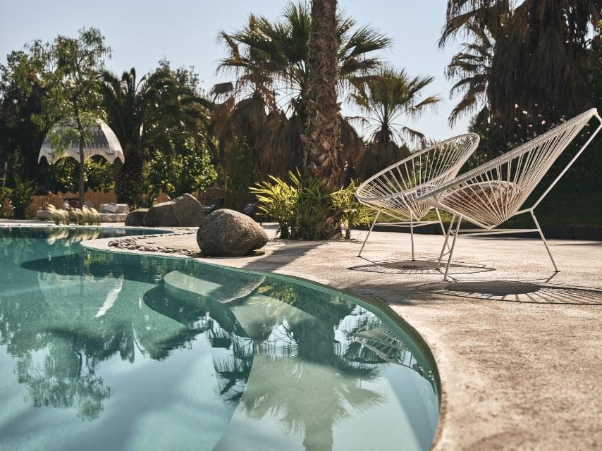 Tranquil poolside lounge chairs are shaded by palm trees at Ekies All Senses Resort, a wonderful place to visit from your private yacht charter in Greece.
