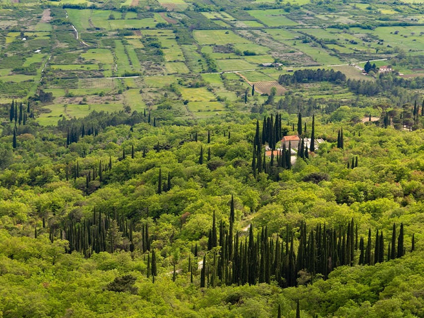 On a private mega yacht, Croatia experiences include private wine tours. Dubrovnik coastal vineyards and farmlands provide a picturesque setting.