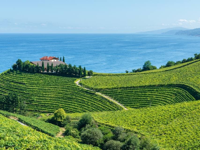 A scenic vineyard visit complements the couple’s celebration at an exclusive wedding venue aboard a yacht.