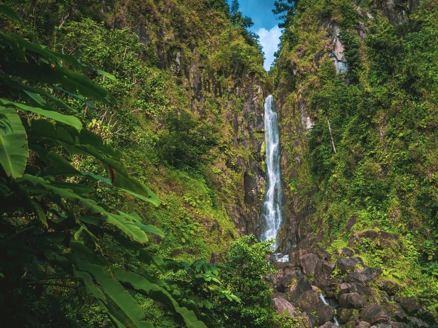 emerald waterfall in tropical green rainforest, Dominica, Caribbean Island