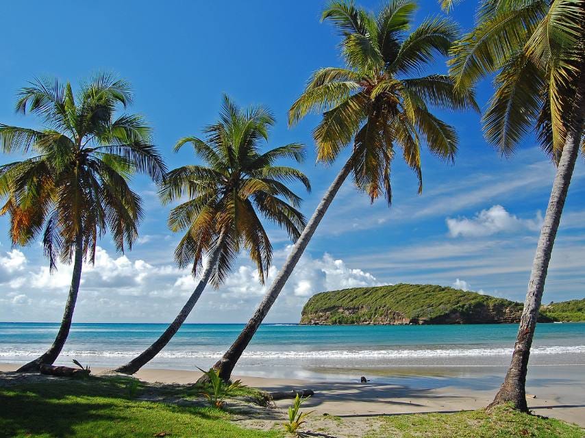 Mustique, St Vincent Palm-fringed beach — a quiet Caribbean destination for private yacht charters.