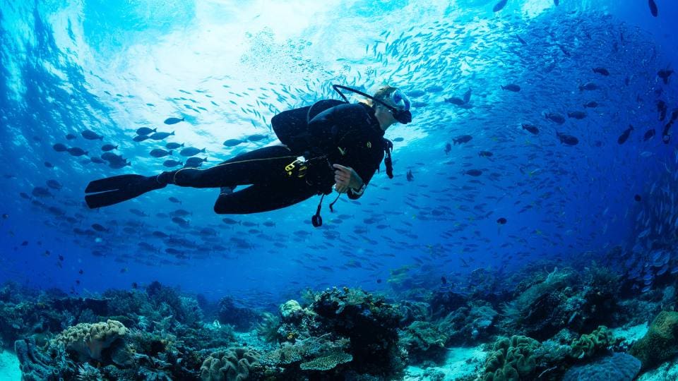 The Best Scuba Diving in Europe: 10 Spectacular Diving Destinations to Explore by Superyacht Charter