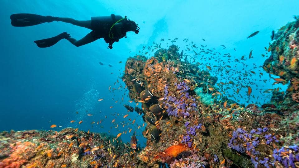 ABC Islands, winter charter with Edmiston 2025