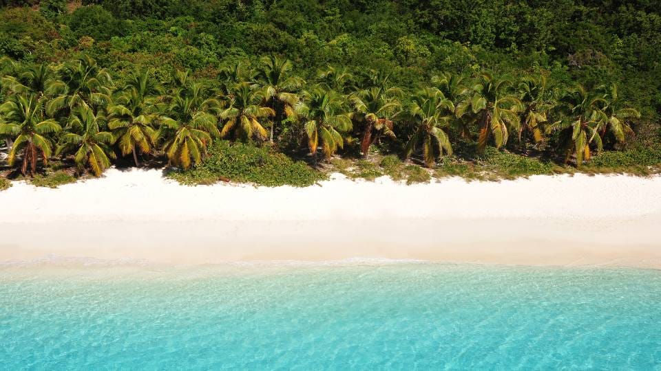 British Virgin Islands, winter charter with Edmiston 2025