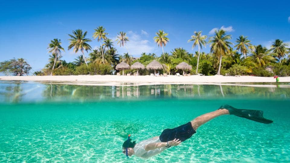 The Grenadines snorkelling, winter charter 2025