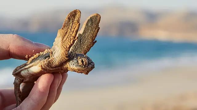 Edmiston Foundation reflects on successful partnerships in 2022