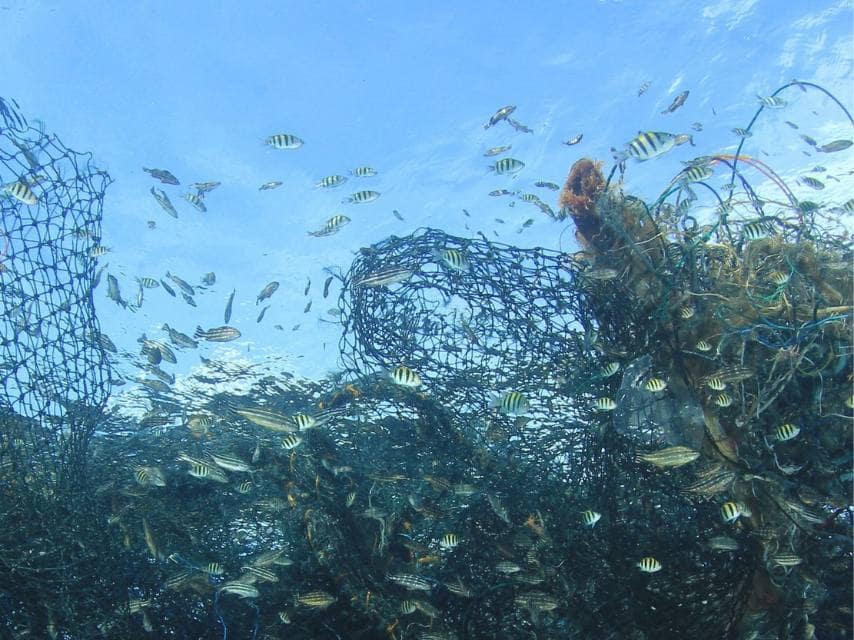 Ghost Net removal project