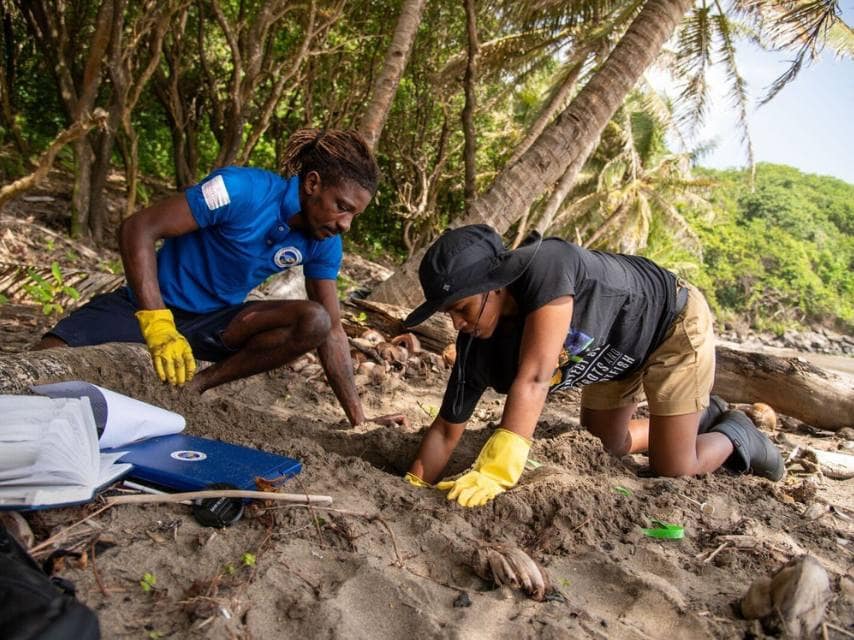 Sea Turtle Project – St Vincent & the Grenadines Environment Fund