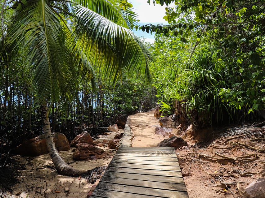 Tropical trails from a crewed yacht charter in Seychelles lead to secluded beaches during a private yacht vacation.