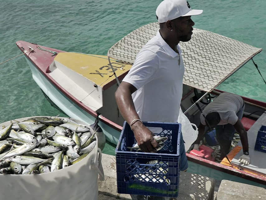 Barbados Fisheries