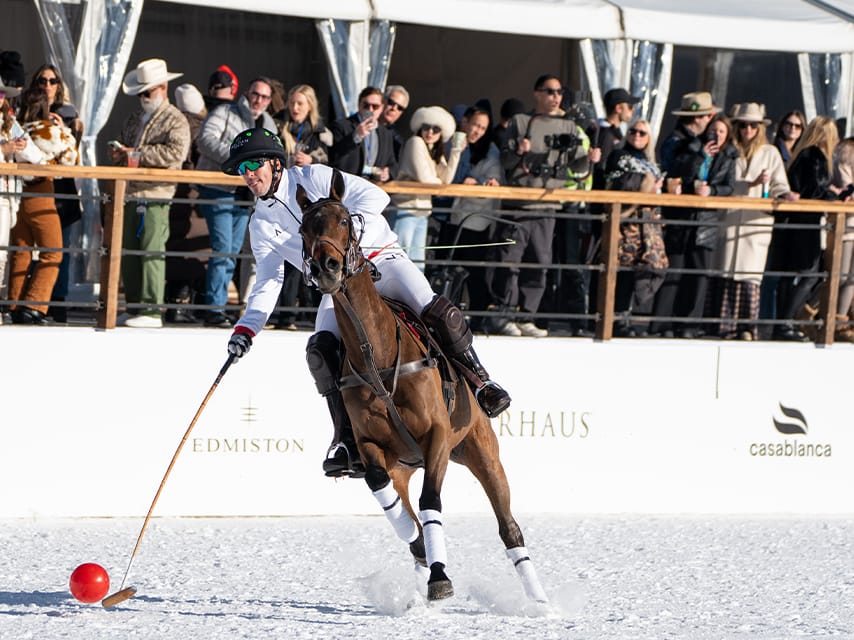Edmiston Aspen Snow Polo