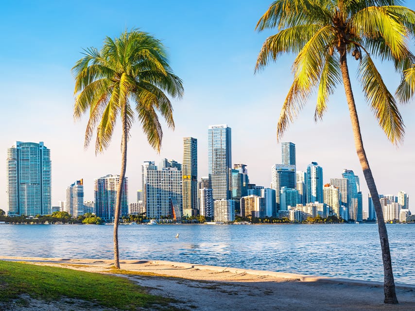 A city skyline with palm trees overlooking the water is the perfect setting for the upcoming boat shows in Florida.