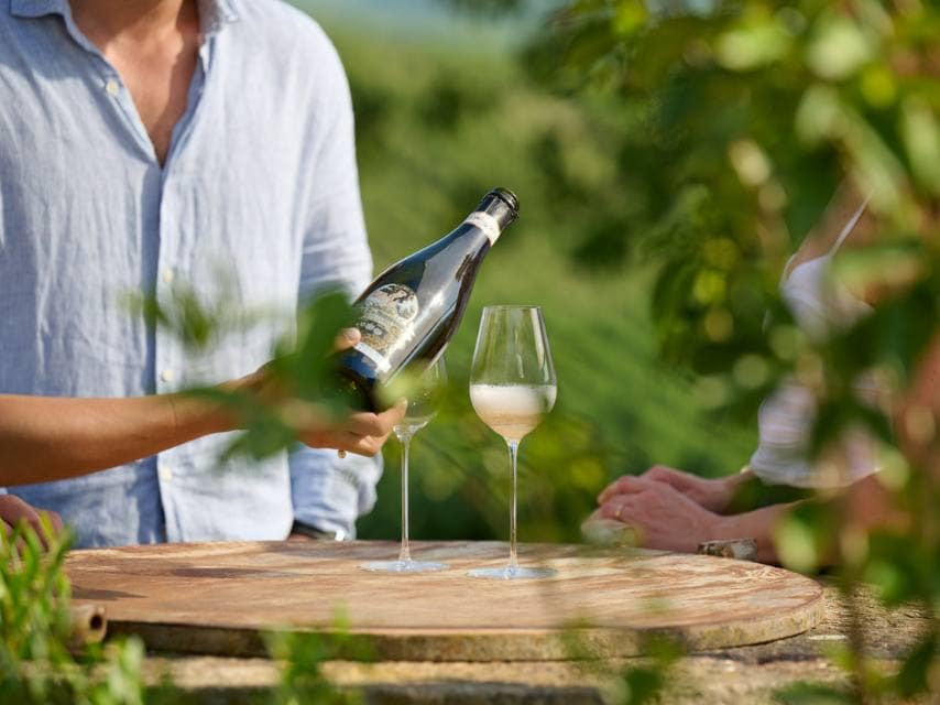 Private vineyard tasting during your luxury yacht charter, Mallorca island, complete with fine wines and gourmet tapas.