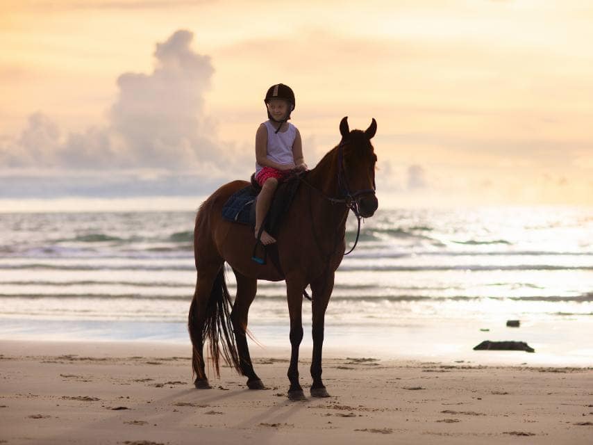 A child sits atop a horse during a peaceful beach horseback ride at sunset as part of their luxury family holidays, Mediterranean.