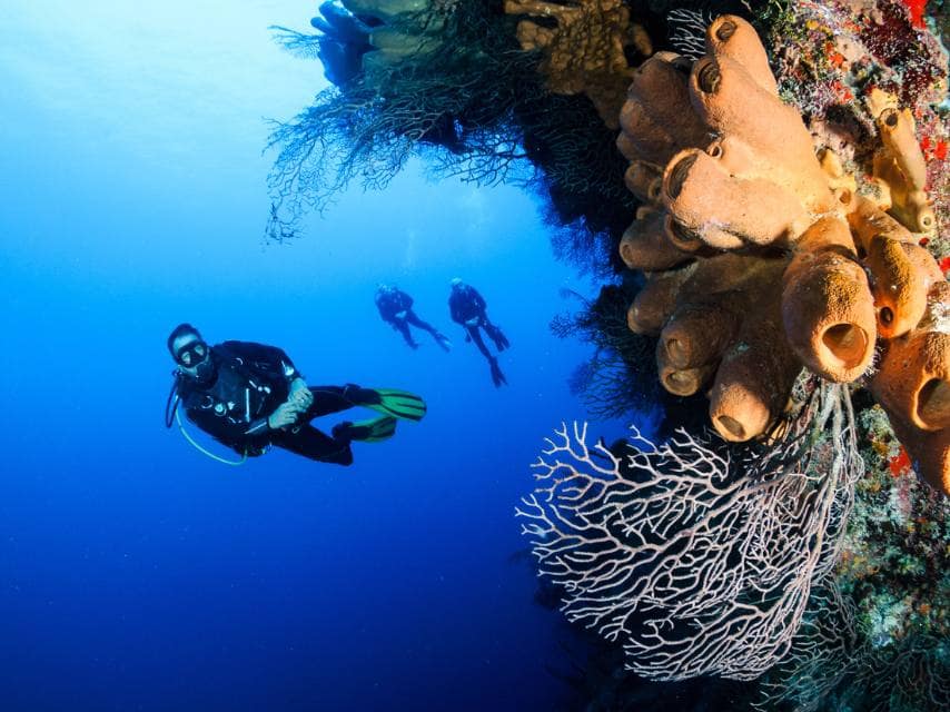 Luxury yacht guest discovering marine life on a cayman islands scuba diving adventure.