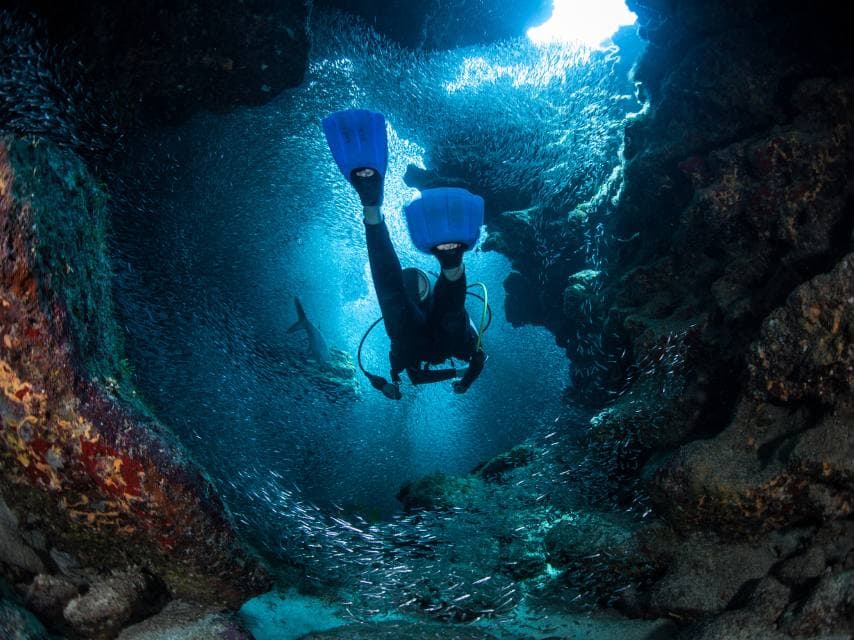 Hidden underwater caves and vibrant marine life on a Belize scuba diving yacht charter.