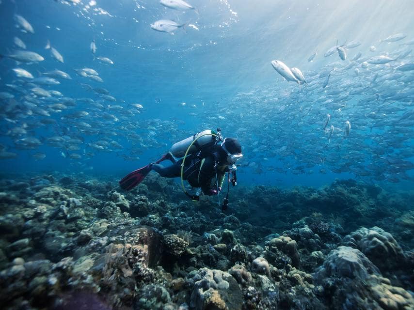 Diver exploring Andros Blue Holes on a Bahamas yacht charter.