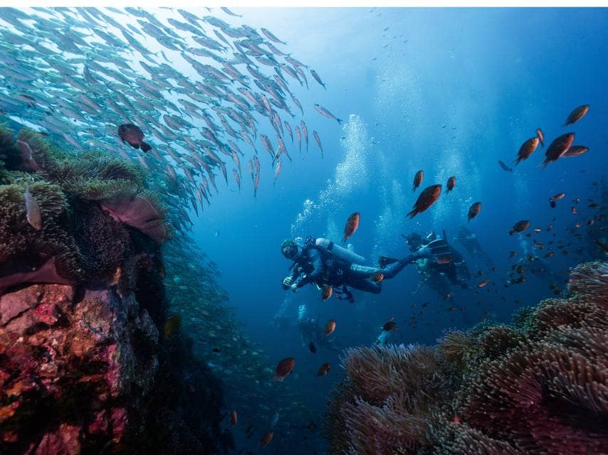Guest diving colorful reefs during a luxury Caribbean crewed yacht charter.