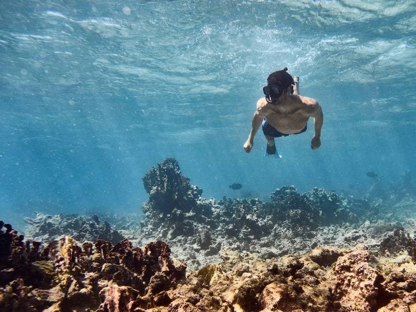 Snorkelling in the BVI