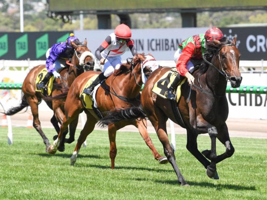 melbourne cup horseracing
