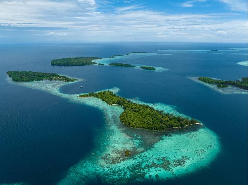 South Pacific Coral reefs