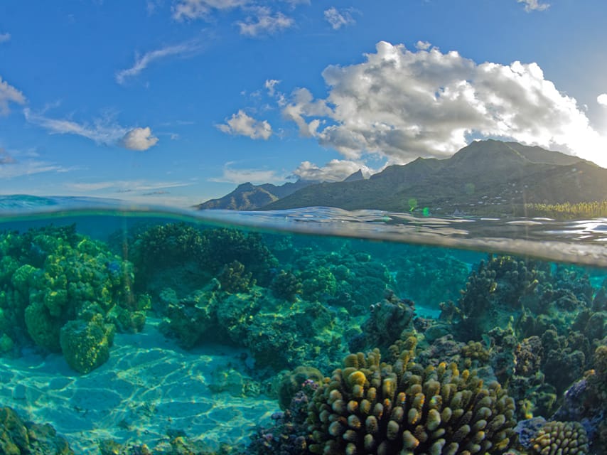 French Polynesia Lagoon