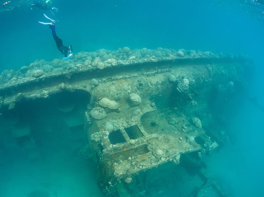 A snorkeler explores a shallow shipwreck. Corals and other invertebrate growth have begun to cover the wreck in Palau.
