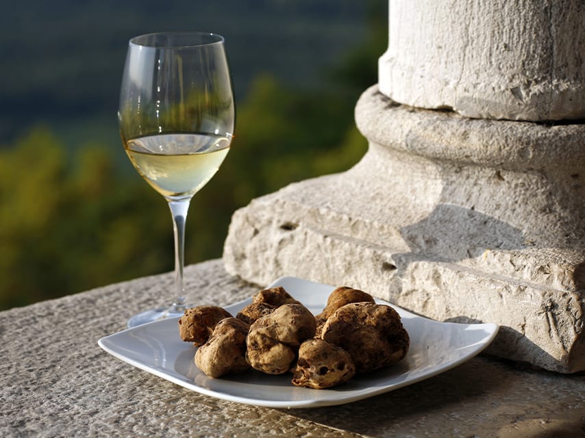 Truffle hunting in Croatia
