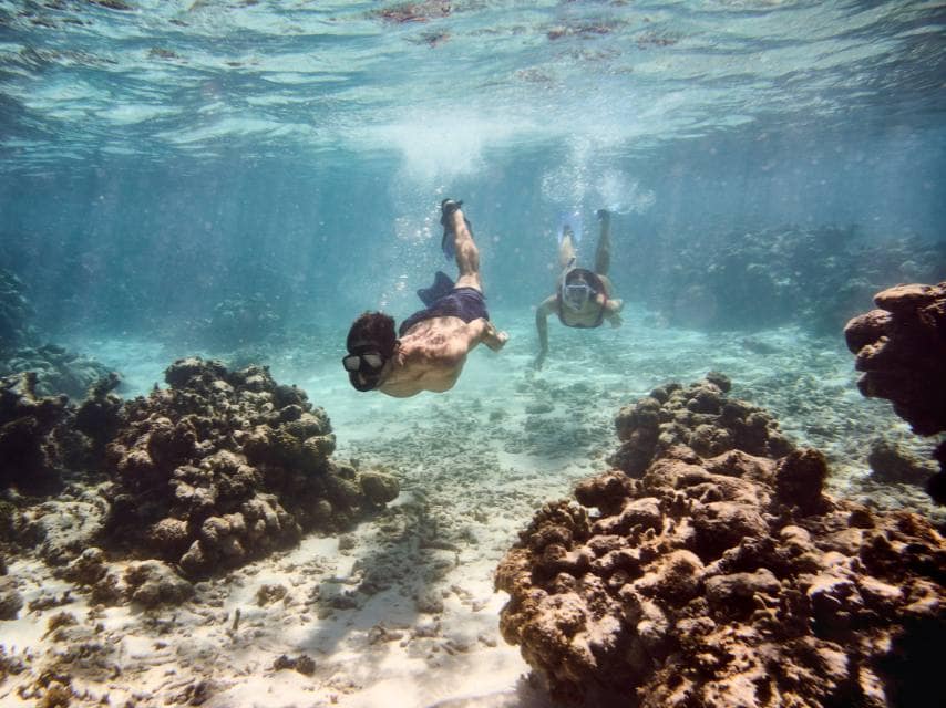 Snorkelling in the Caribbean, winter charter with Edmiston