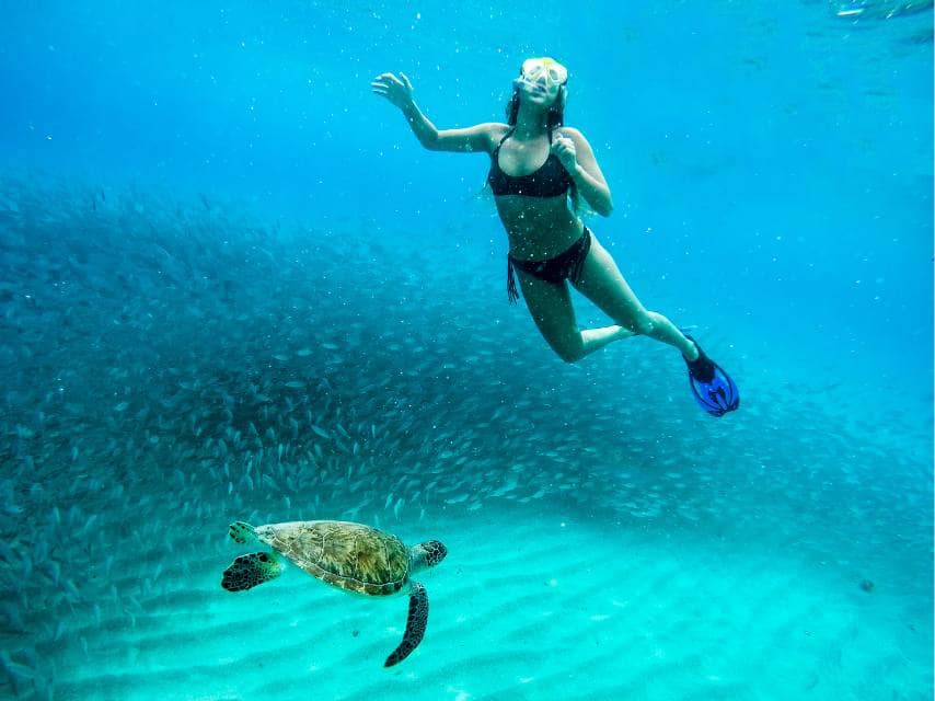 Curacao snorkelling