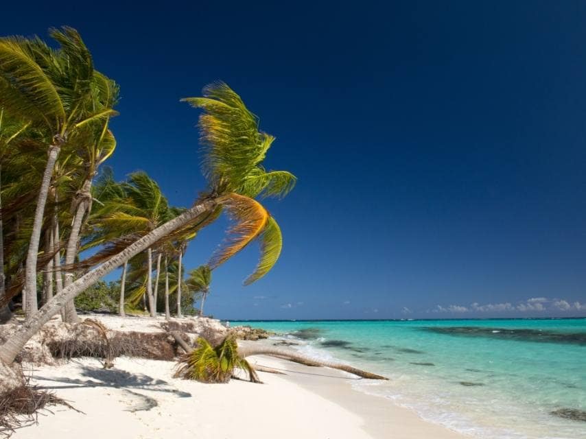 Leeward Islands, Antiguilla