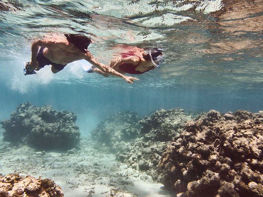 Snorkelling in clear waters in the Bahamas