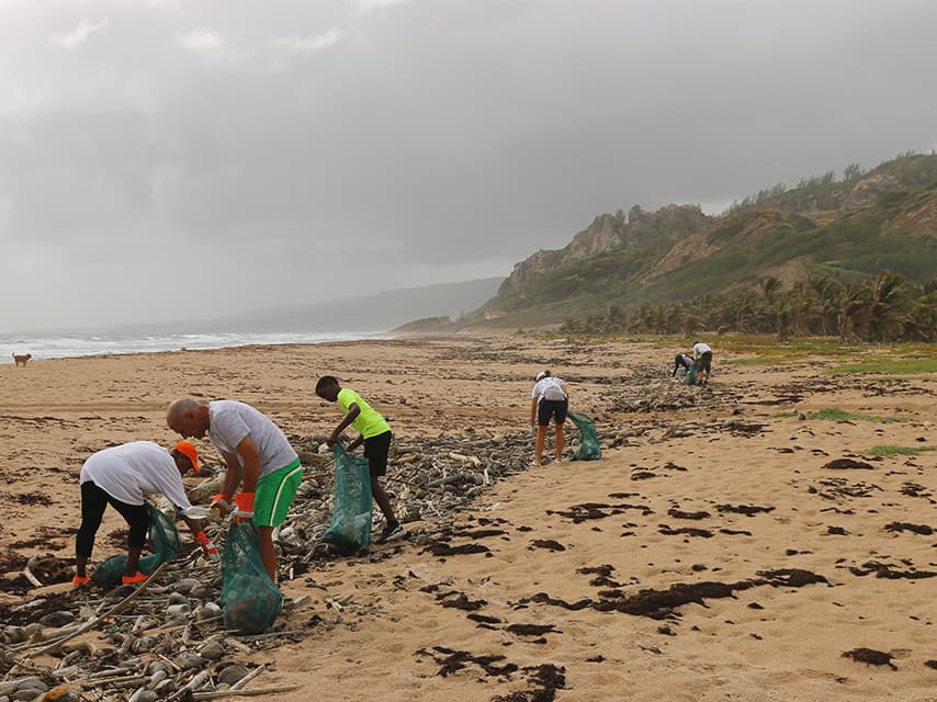 Beach clean up