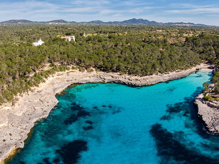 Posidonia protection