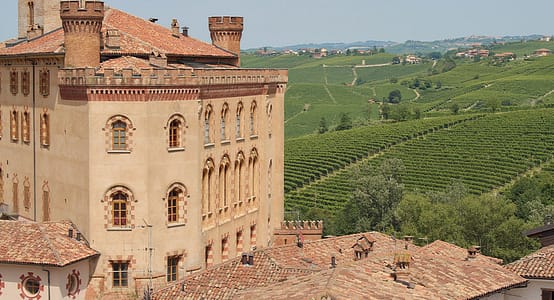 Protected: A day in Barolo with Crurated