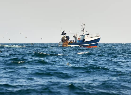 Edmiston Foundation: fighting illegal fishing in the Balearics