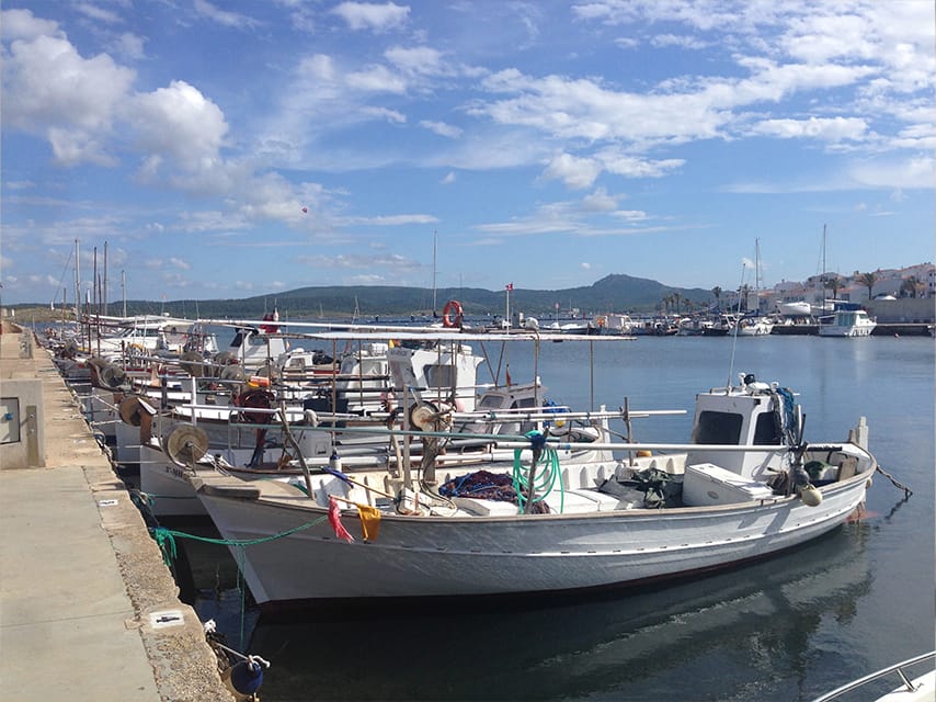 Fishing boats