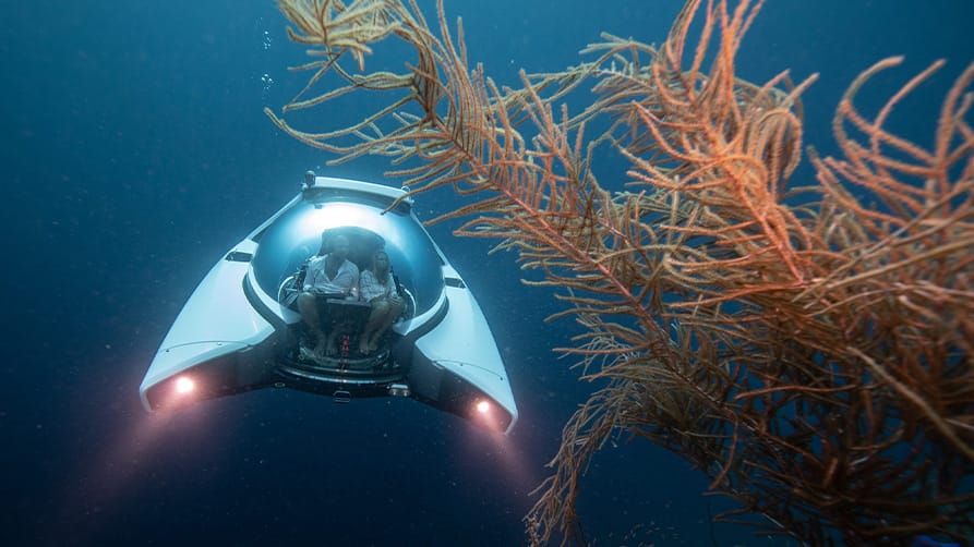 A couple exploring the ocean floor with their submarine yacht accessory